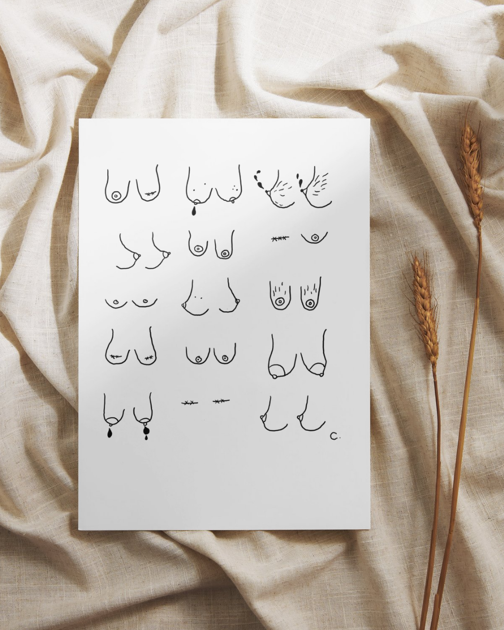 Print DinA4 "Brüste"