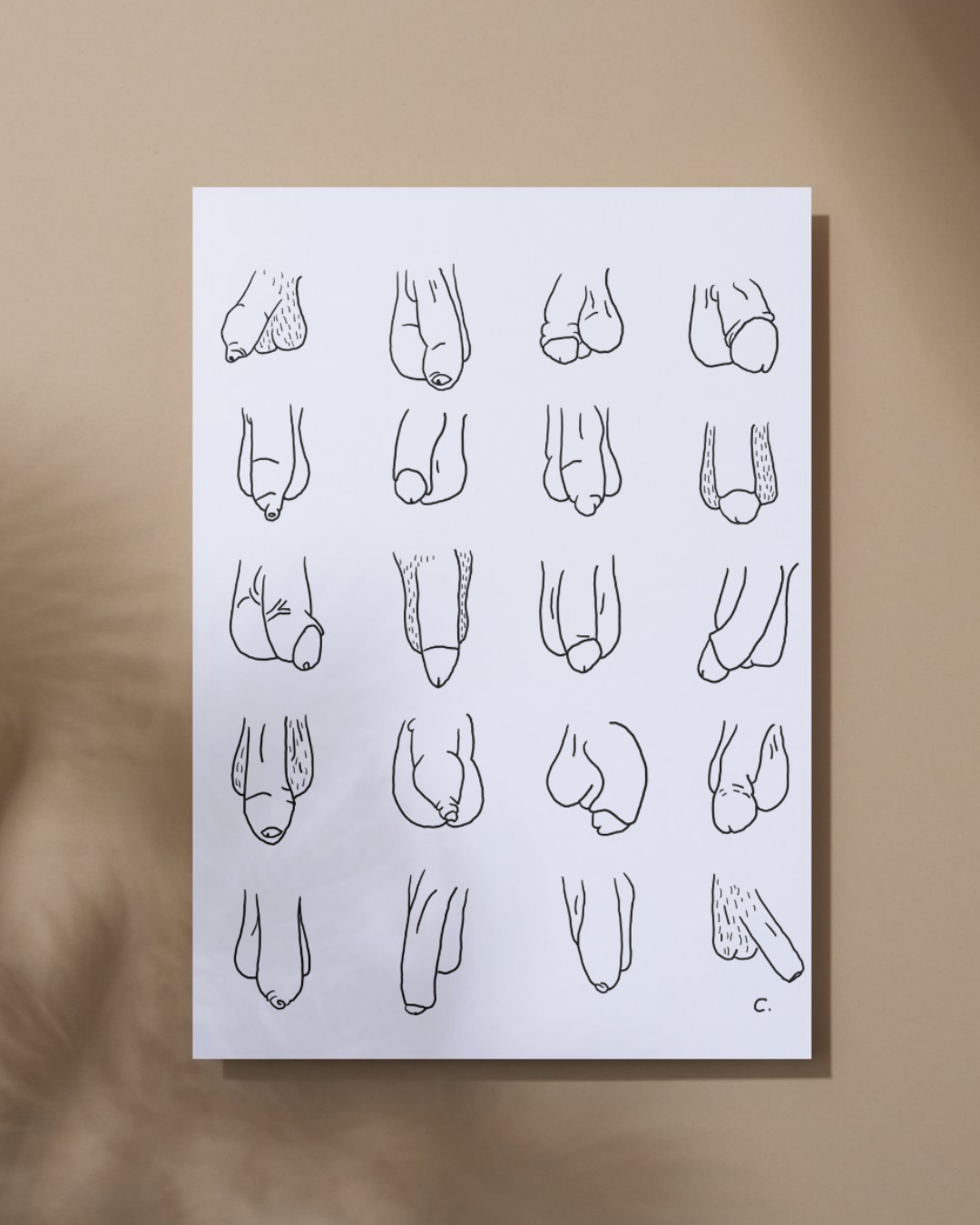 Print DinA4 "Penisse"